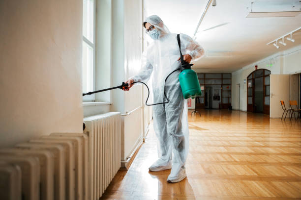 Emergency Pest Control in Lighthouse Point, FL